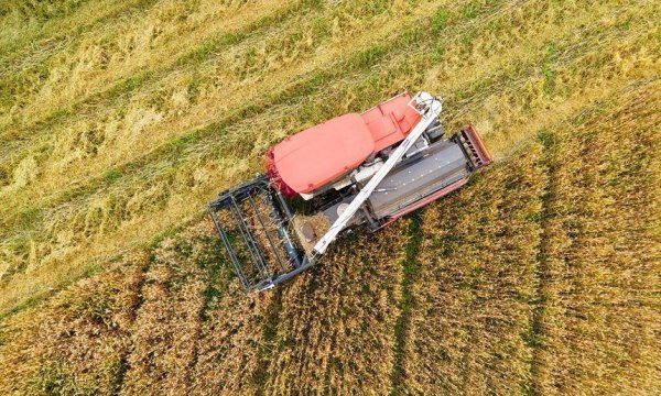 贵州桐梓：农机助力7000余亩小麦丰产丰收