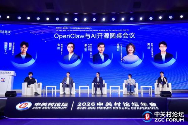 杨植麟当主持人的大模型圆桌：张鹏罗福莉夏立雪都放开说了