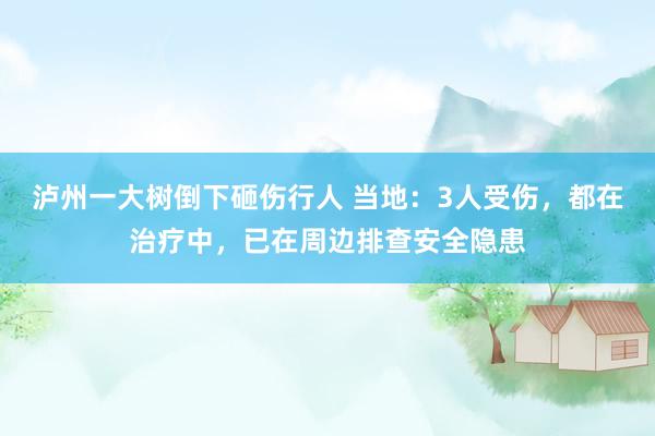 泸州一大树倒下砸伤行人 当地：3人受伤，都在治疗中，已在周边排查安全隐患