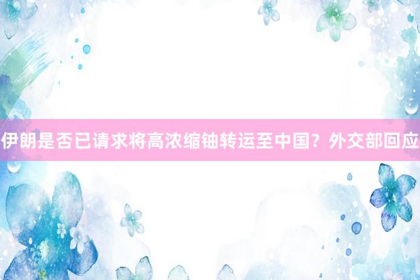 伊朗是否已请求将高浓缩铀转运至中国？外交部回应