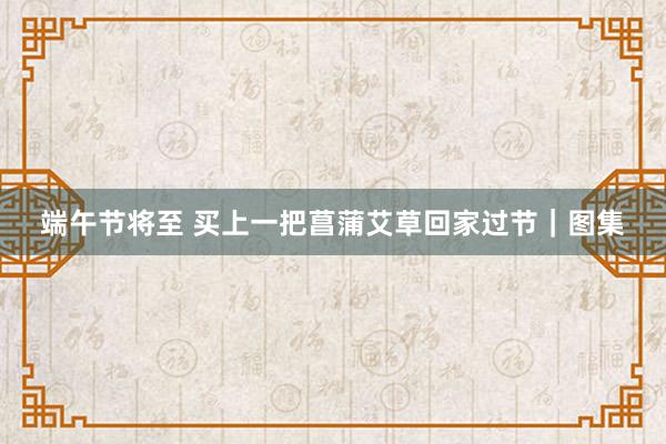 端午节将至 买上一把菖蒲艾草回家过节｜图集