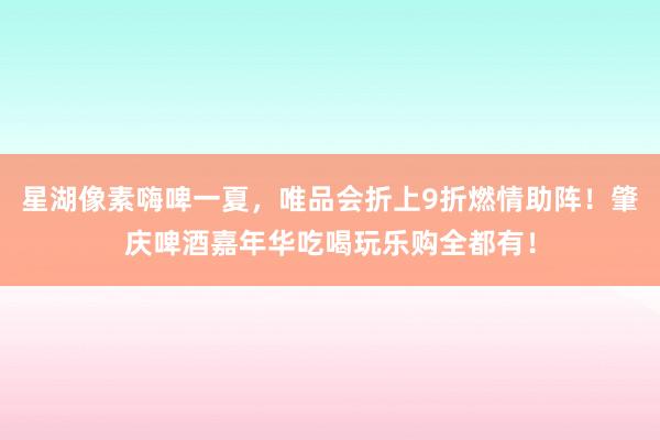 星湖像素嗨啤一夏，唯品会折上9折燃情助阵！肇庆啤酒嘉年华吃喝玩乐购全都有！