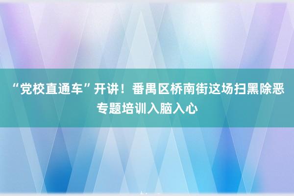 “党校直通车”开讲！番禺区桥南街这场扫黑除恶专题培训入脑入心