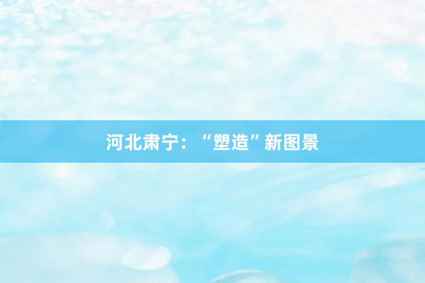 河北肃宁：“塑造”新图景