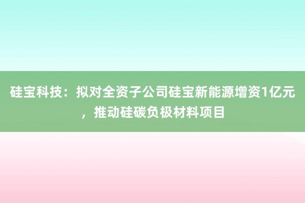 硅宝科技：拟对全资子公司硅宝新能源增资1亿元，推动硅碳负极材料项目