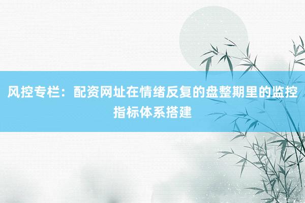 风控专栏：配资网址在情绪反复的盘整期里的监控指标体系搭建
