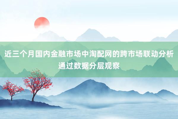 近三个月国内金融市场中淘配网的跨市场联动分析通过数据分层观察
