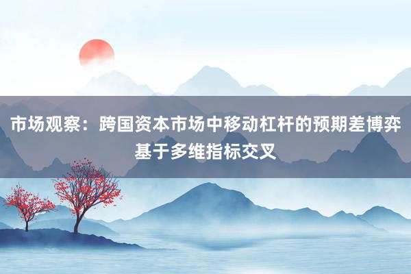 市场观察：跨国资本市场中移动杠杆的预期差博弈基于多维指标交叉