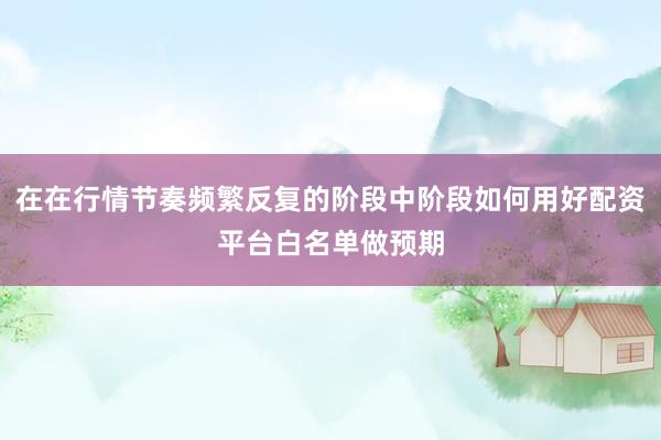 在在行情节奏频繁反复的阶段中阶段如何用好配资平台白名单做预期