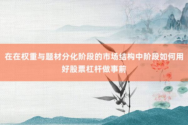 在在权重与题材分化阶段的市场结构中阶段如何用好股票杠杆做事前