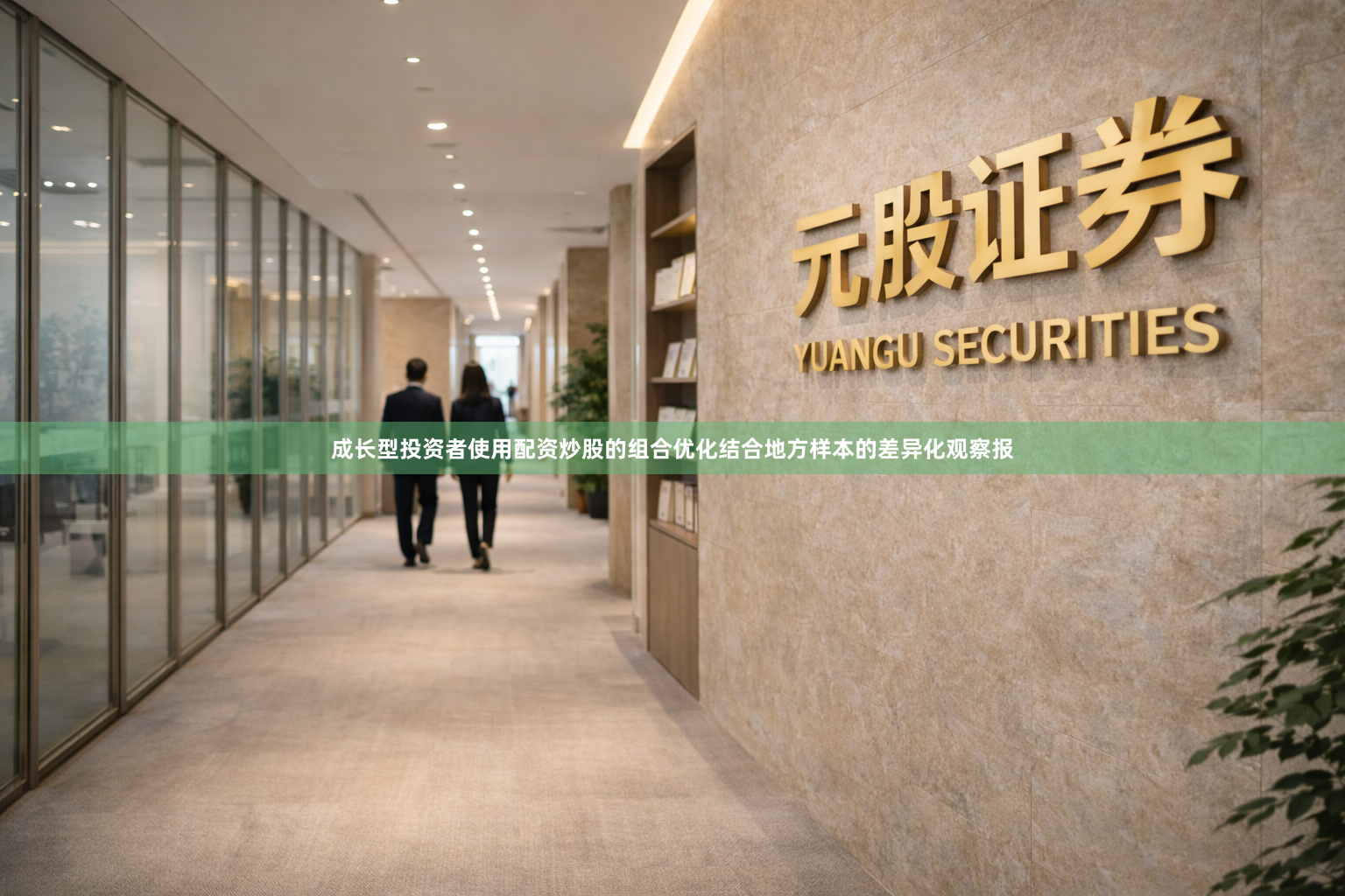 成长型投资者使用配资炒股的组合优化结合地方样本的差异化观察报