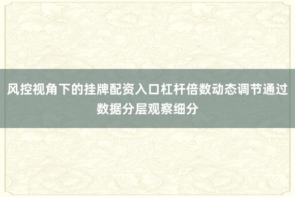 风控视角下的挂牌配资入口杠杆倍数动态调节通过数据分层观察细分