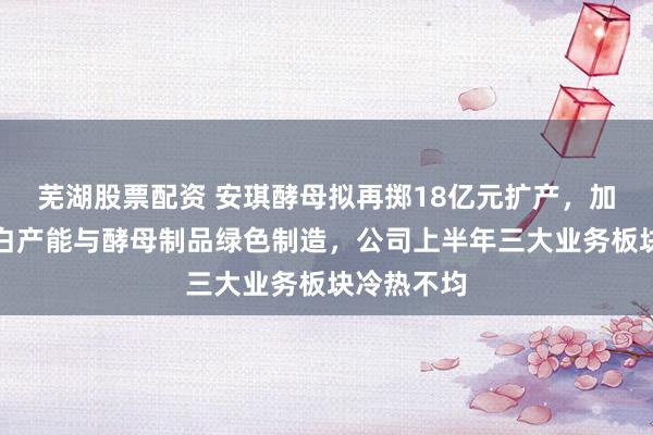 芜湖股票配资 安琪酵母拟再掷18亿元扩产，加码酵母蛋白产能与酵母制品绿色制造，公司上半年三大业务板块冷热不均