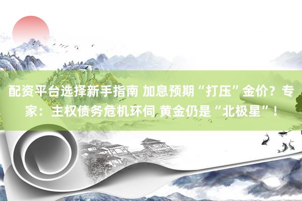 配资平台选择新手指南 加息预期“打压”金价？专家：主权债务危机环伺 黄金仍是“北极星”！