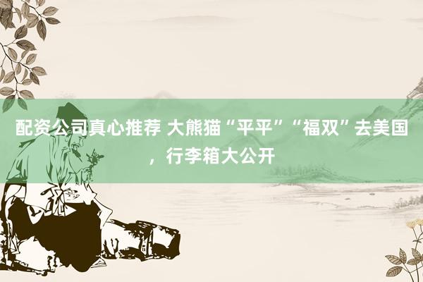配资公司真心推荐 大熊猫“平平”“福双”去美国，行李箱大公开
