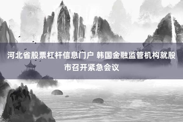 河北省股票杠杆信息门户 韩国金融监管机构就股市召开紧急会议