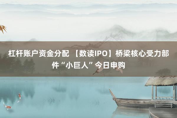 杠杆账户资金分配 【数读IPO】桥梁核心受力部件“小巨人”今日申购