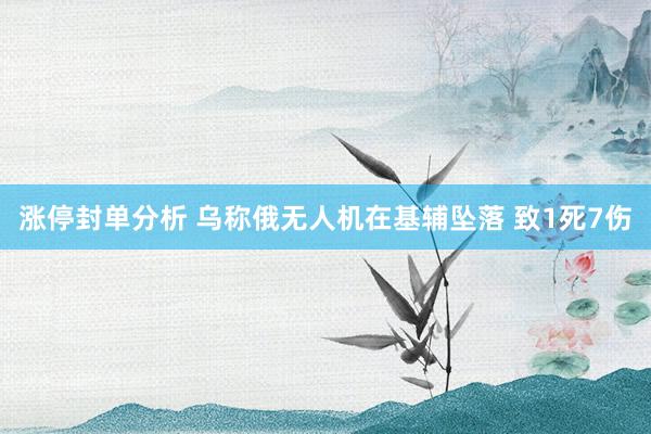 涨停封单分析 乌称俄无人机在基辅坠落 致1死7伤
